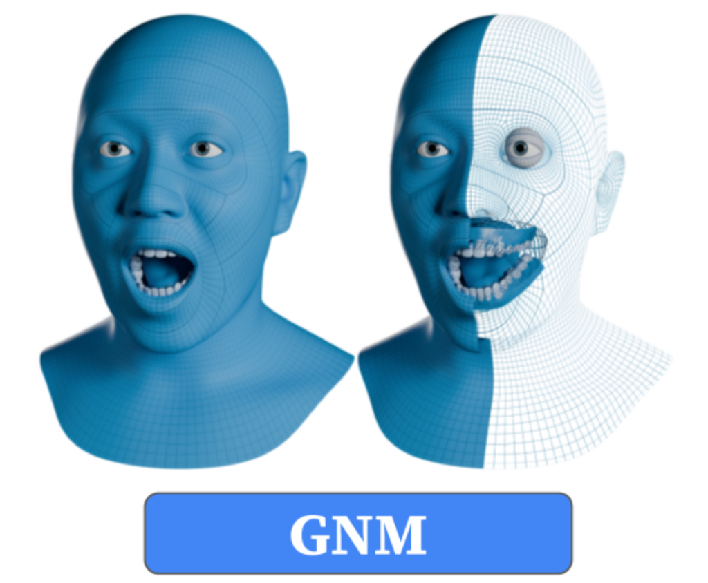 GNM Head: A Generative aNthropometric Model of the human head